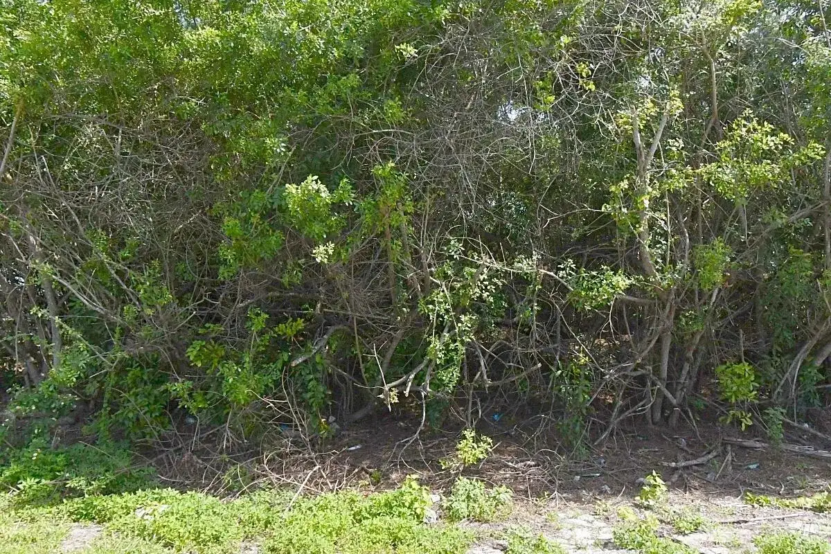 1120 SW JERICHO Avenue, Port St. Lucie FL 34953 photo 2