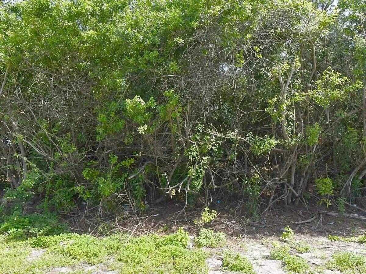 1120 SW JERICHO Avenue, Port St. Lucie FL 34953 photo 3
