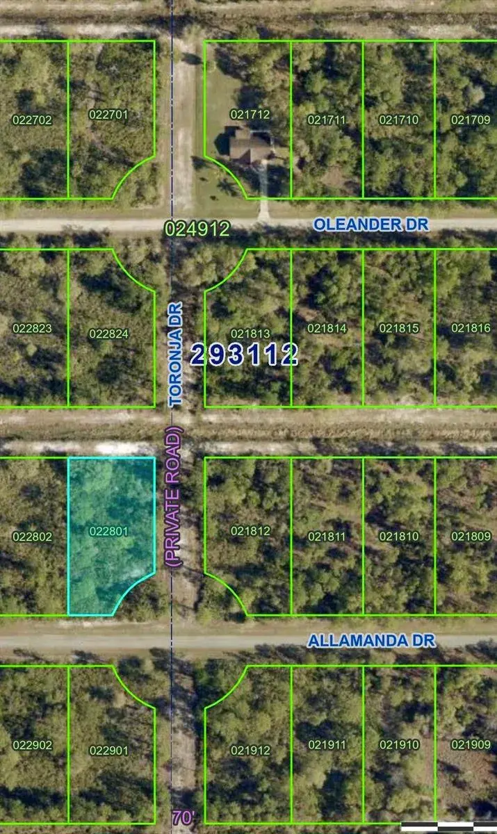 0 ALLAMANDA Drive, FL 33855
