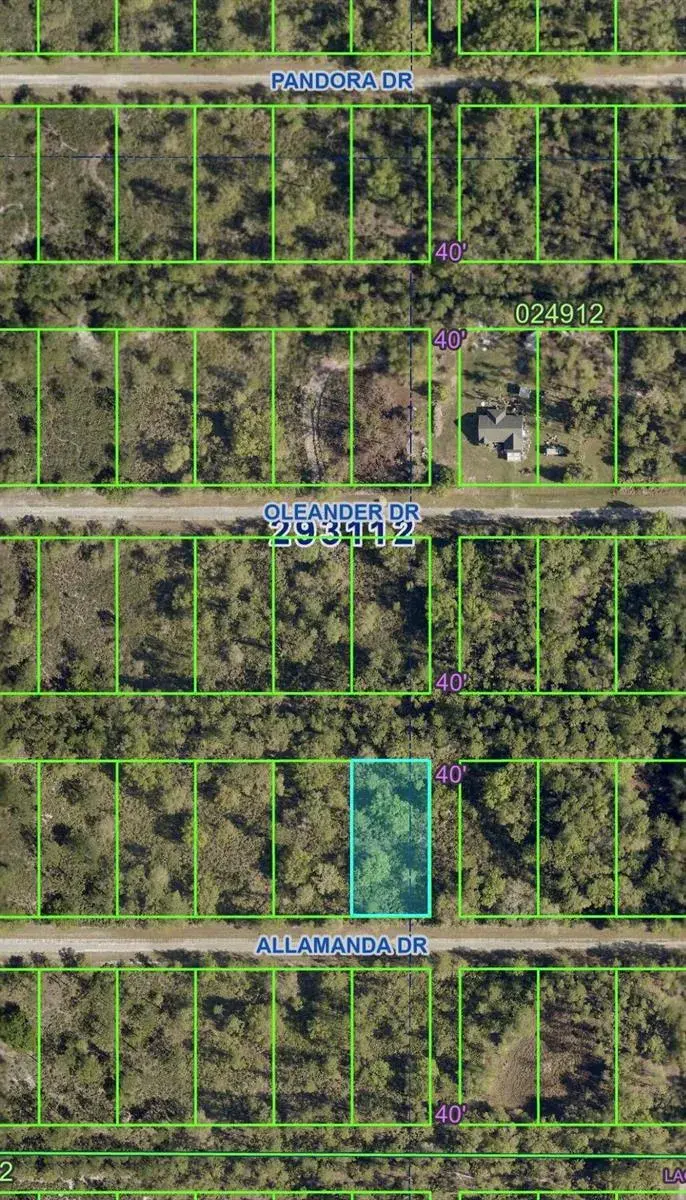 Tbd Allamanda Drive, FL 33855
