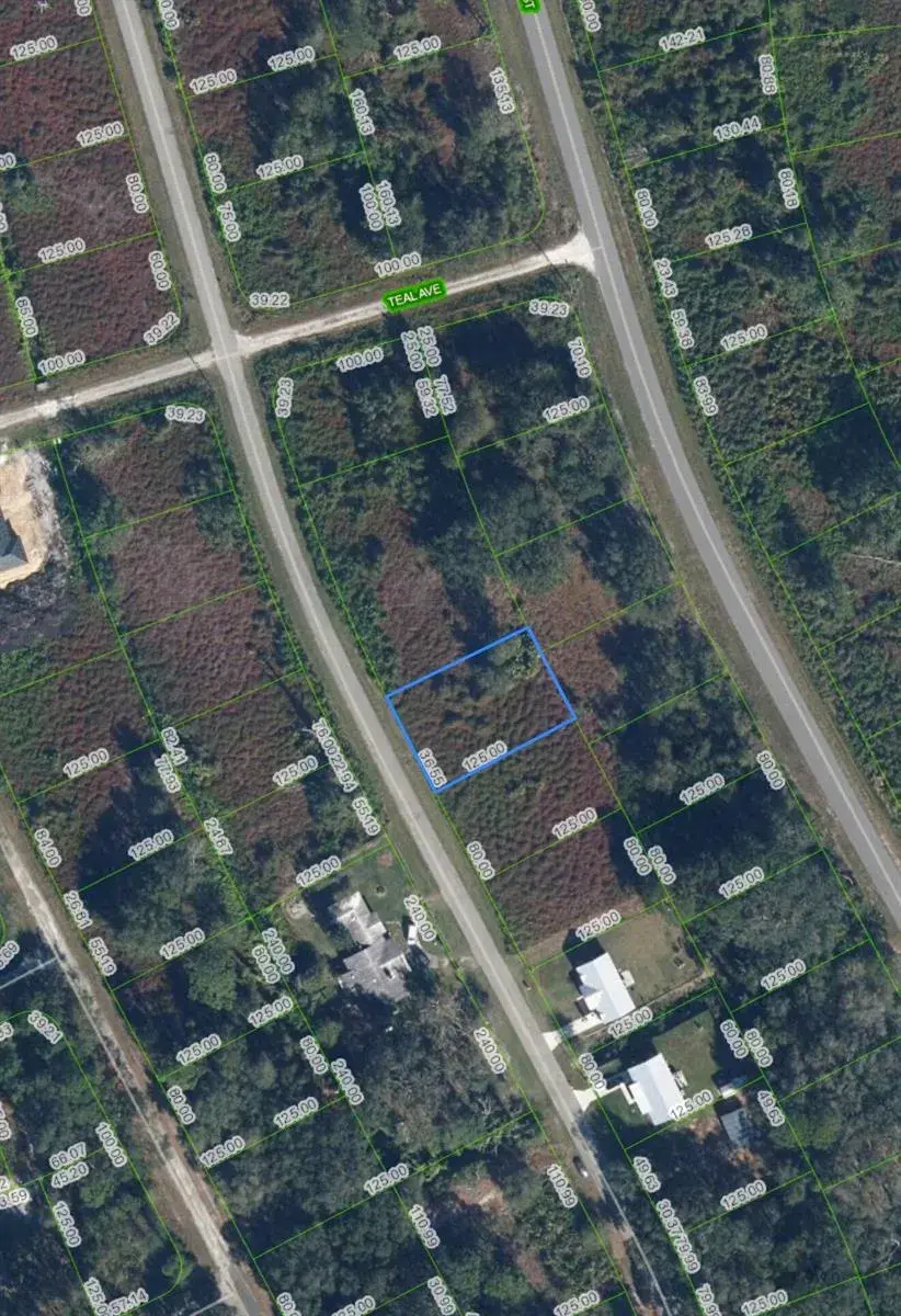 1027 ORIOLE Street, Lake Placid FL 33852
