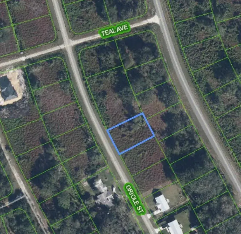 1027 ORIOLE Street, Lake Placid FL 33852