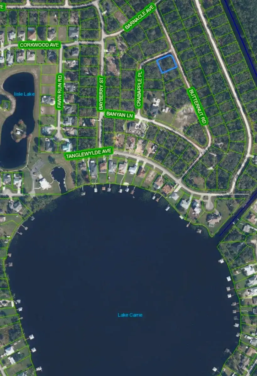 1123 CRABAPPLE Place, Lake Placid FL 33852 photo 3