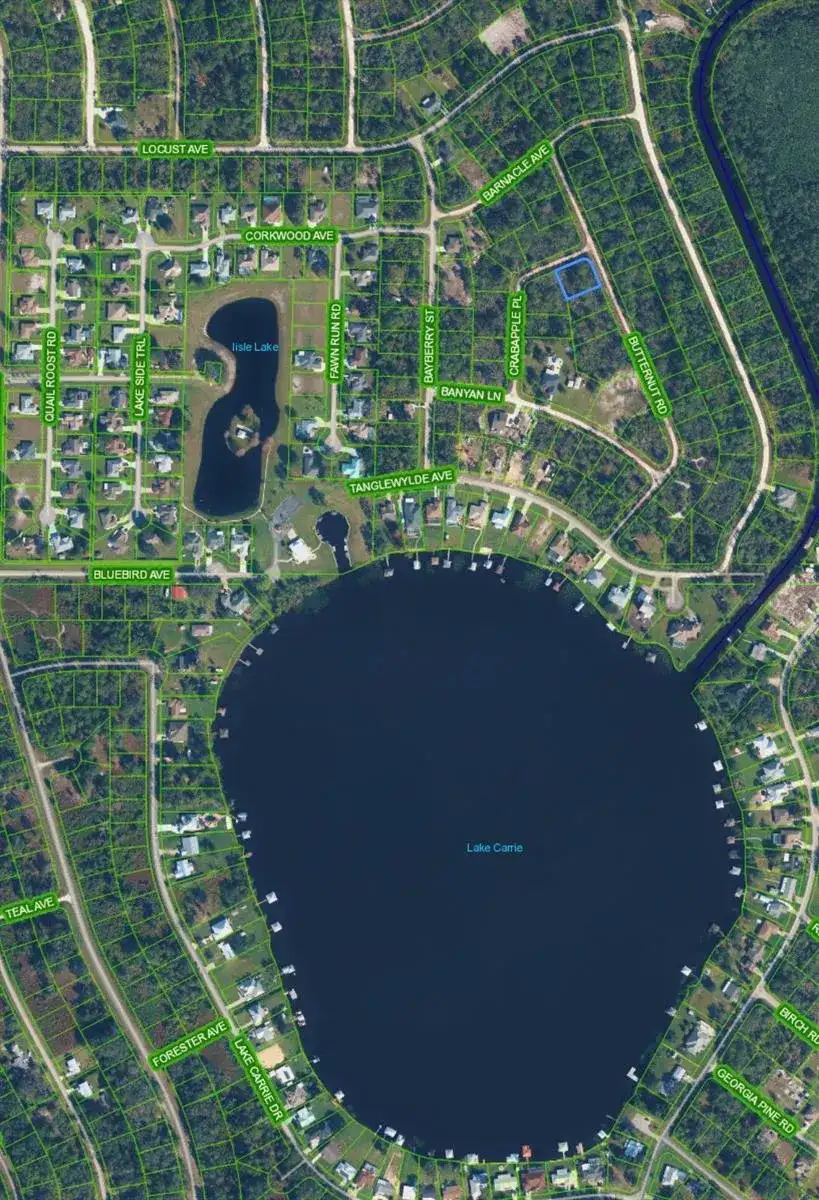 1123 CRABAPPLE Place, Lake Placid FL 33852 photo 4