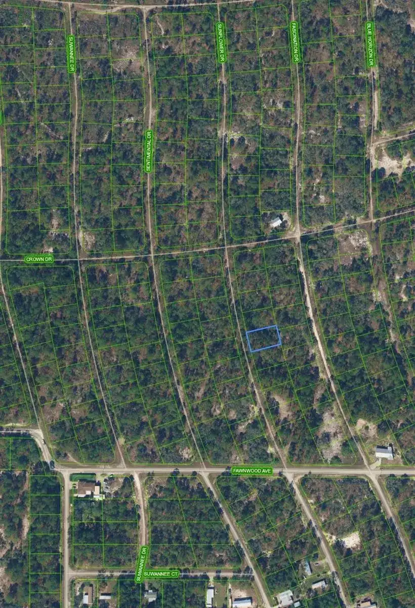 213 SUNFLOWER Drive, Lake Placid FL 33852 photo 2