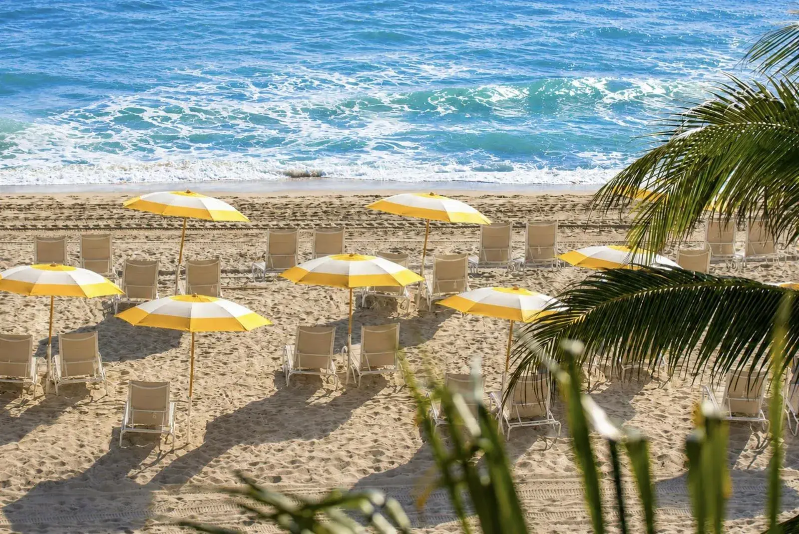 525 N FORT LAUDERDALE BEACH Boulevard N # 1704, Fort Lauderdale FL 33304