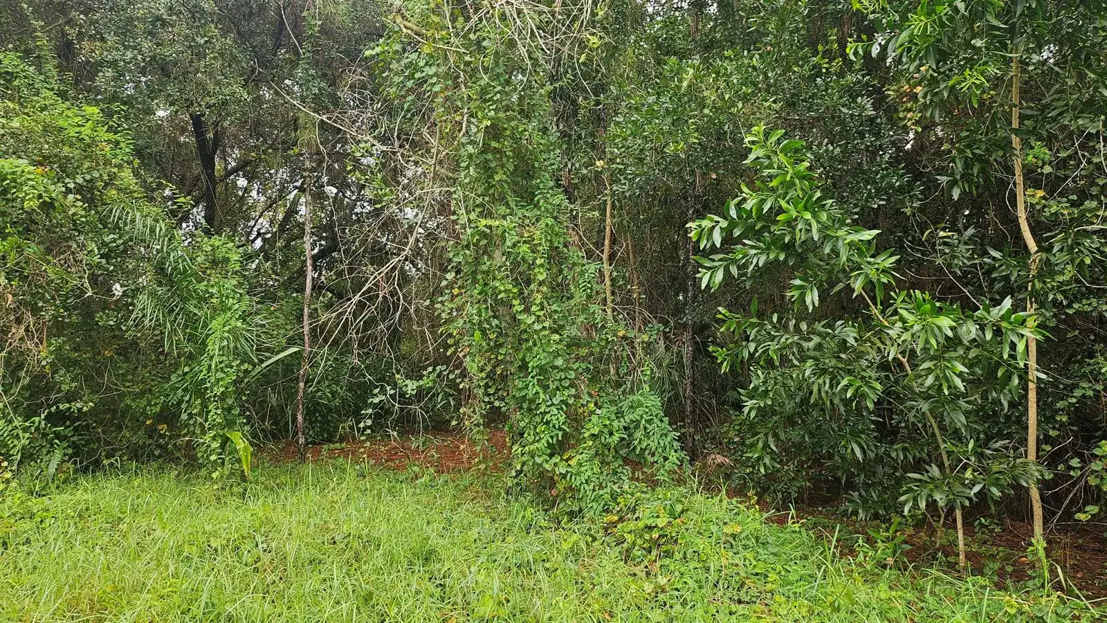 5439 NW Thyer Circle, Port St. Lucie FL 34983 photo 4