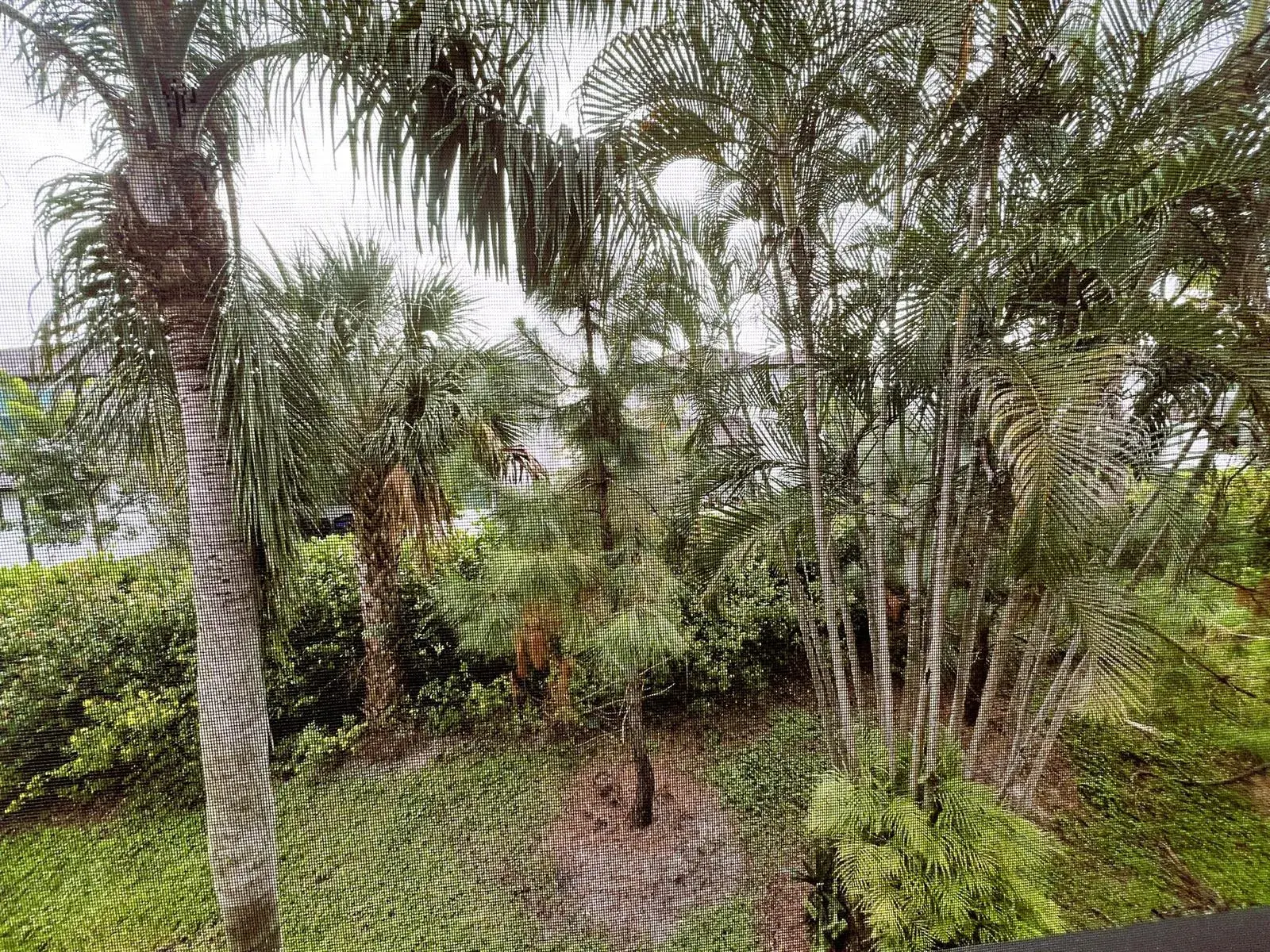 7245 Golf Colony Court # 203, Lake Worth FL 33467