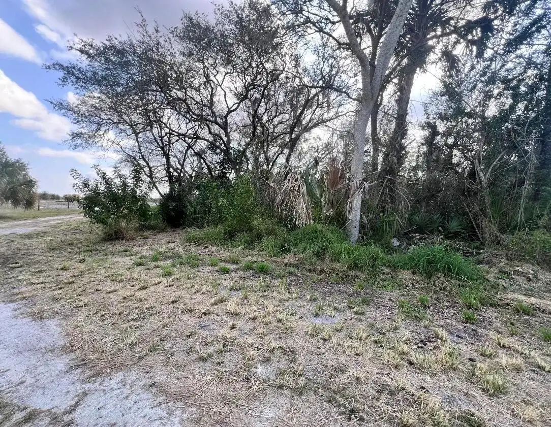 4108 Sebring Lakes Boulevard, Sebring FL 33875 photo 2