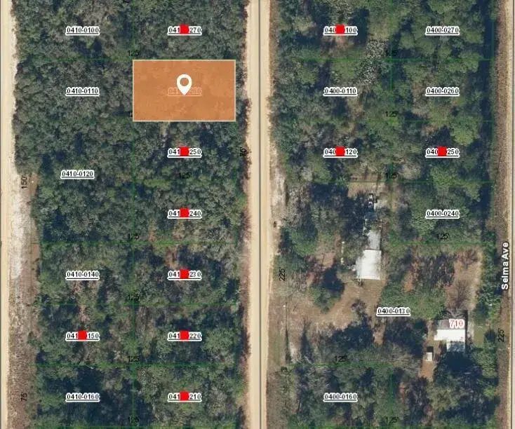 009 Creager Avenue, FL 32148