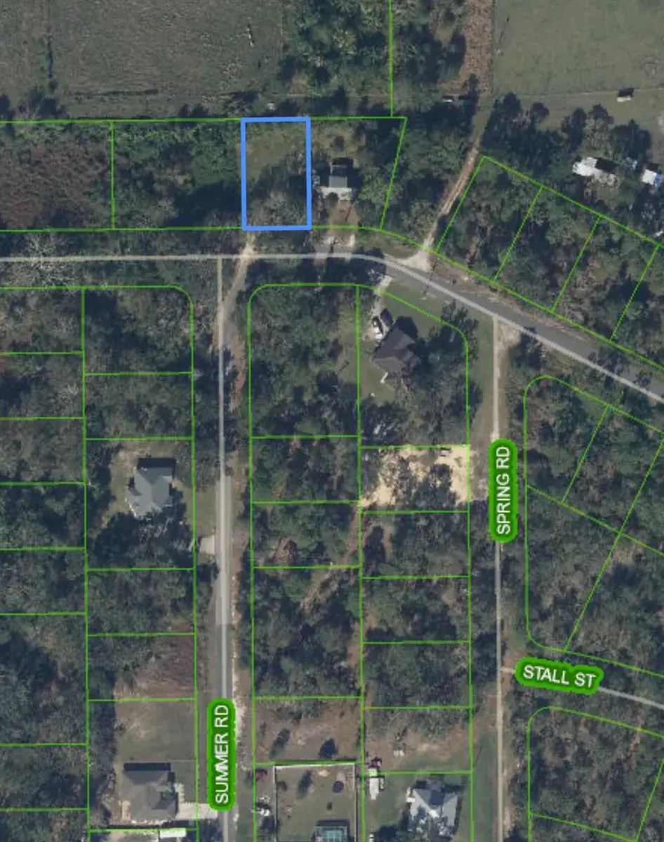 1513 SPRING Lane, Lake Placid FL 33852