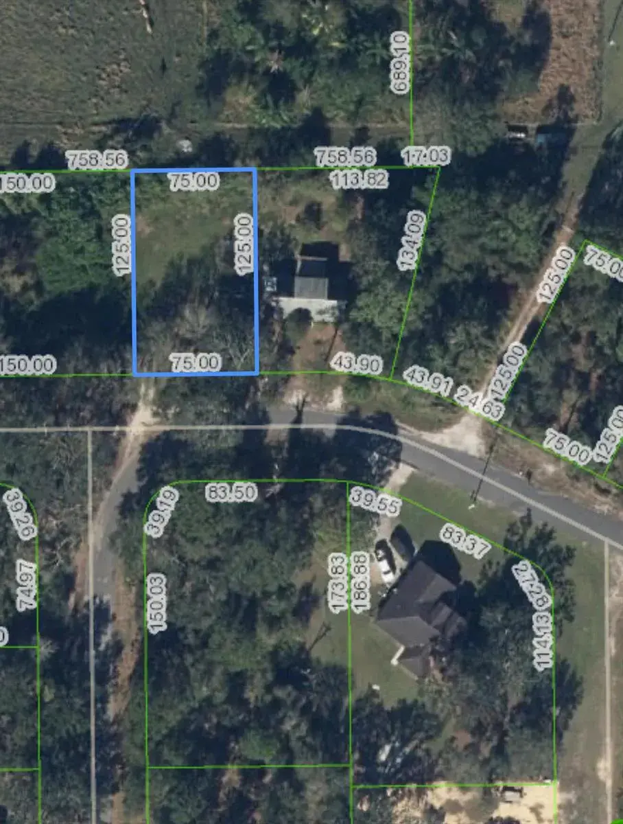 1513 SPRING Lane, Lake Placid FL 33852