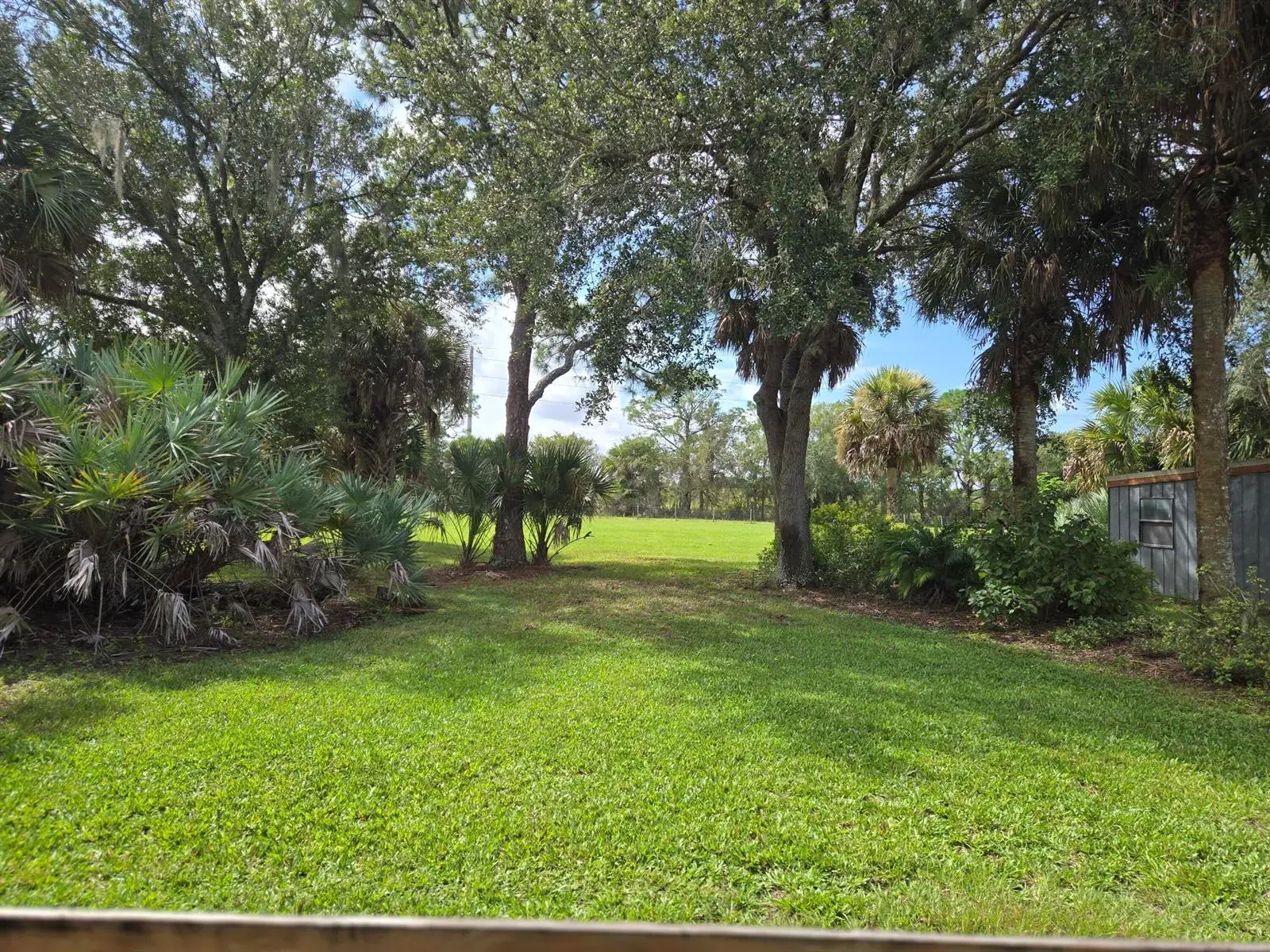 23101 SW CARDAMINE Street, FL 34956