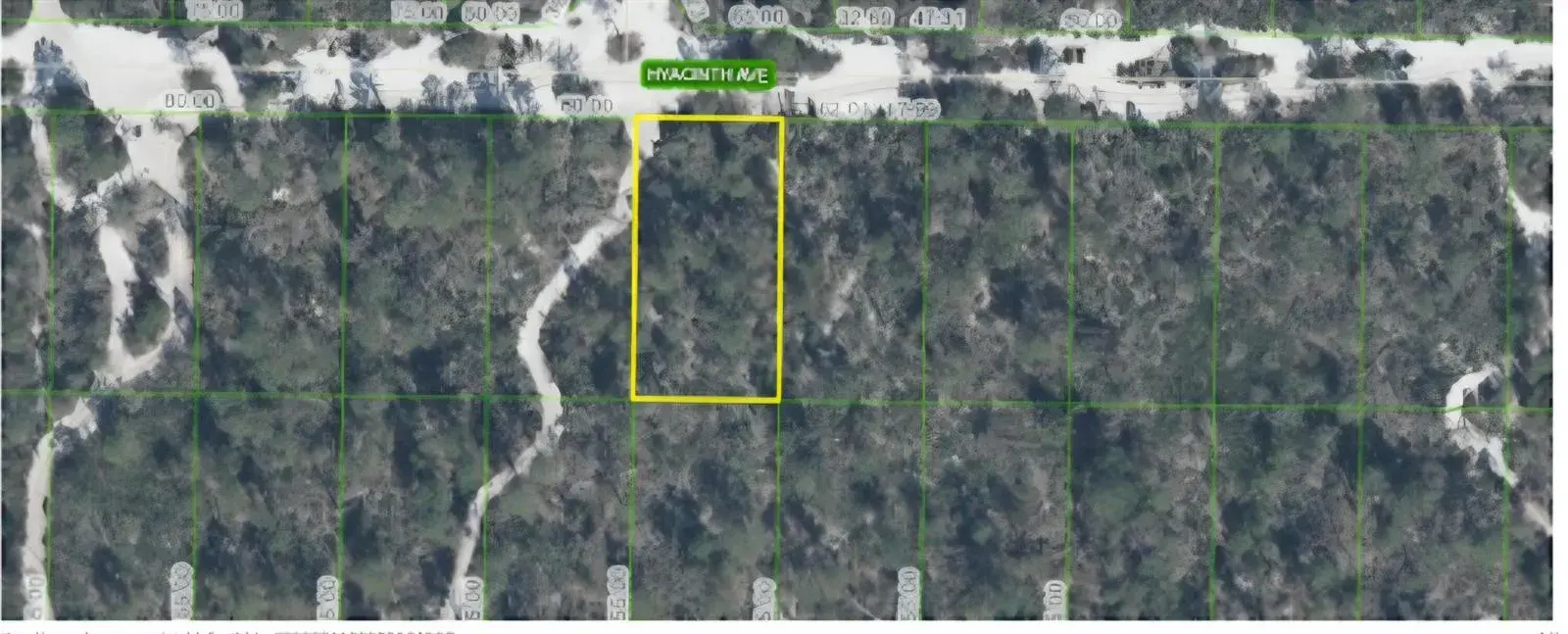 1437 HYACINTH Avenue, Sebring FL 33875