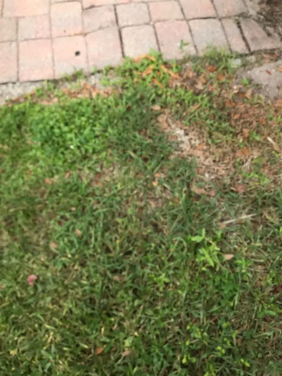 5166 SE White Oleander # 5166, West Palm Beach FL 33415