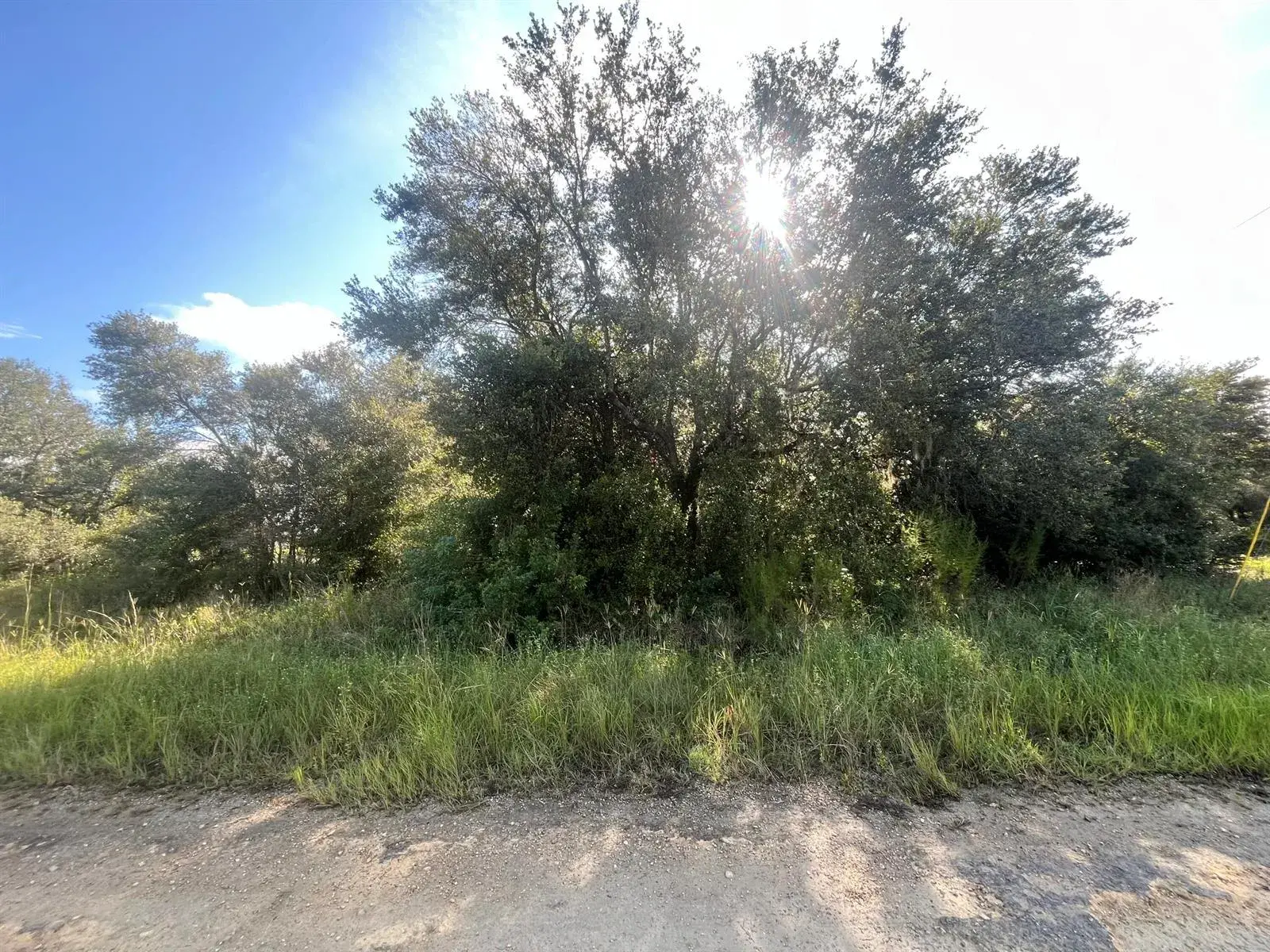 1702 MCARTHUR Avenue, Lehigh Acres FL 33972