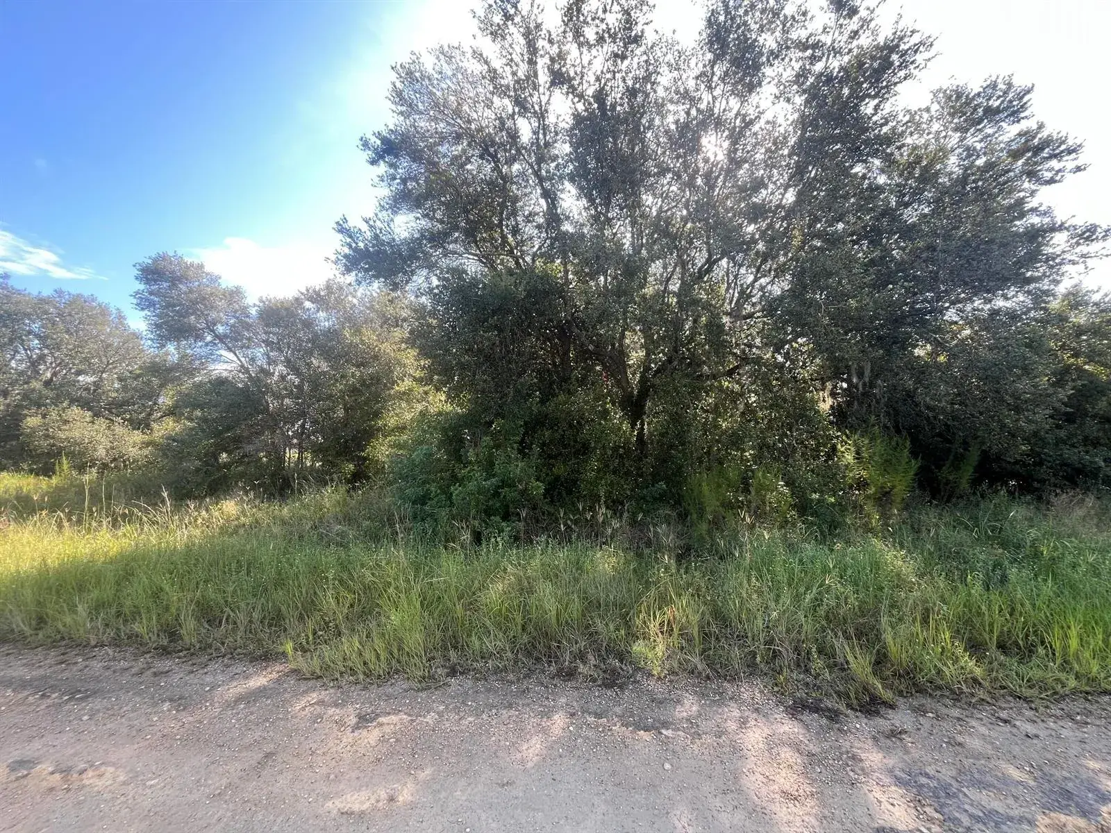 1702 MCARTHUR Avenue, Lehigh Acres FL 33972