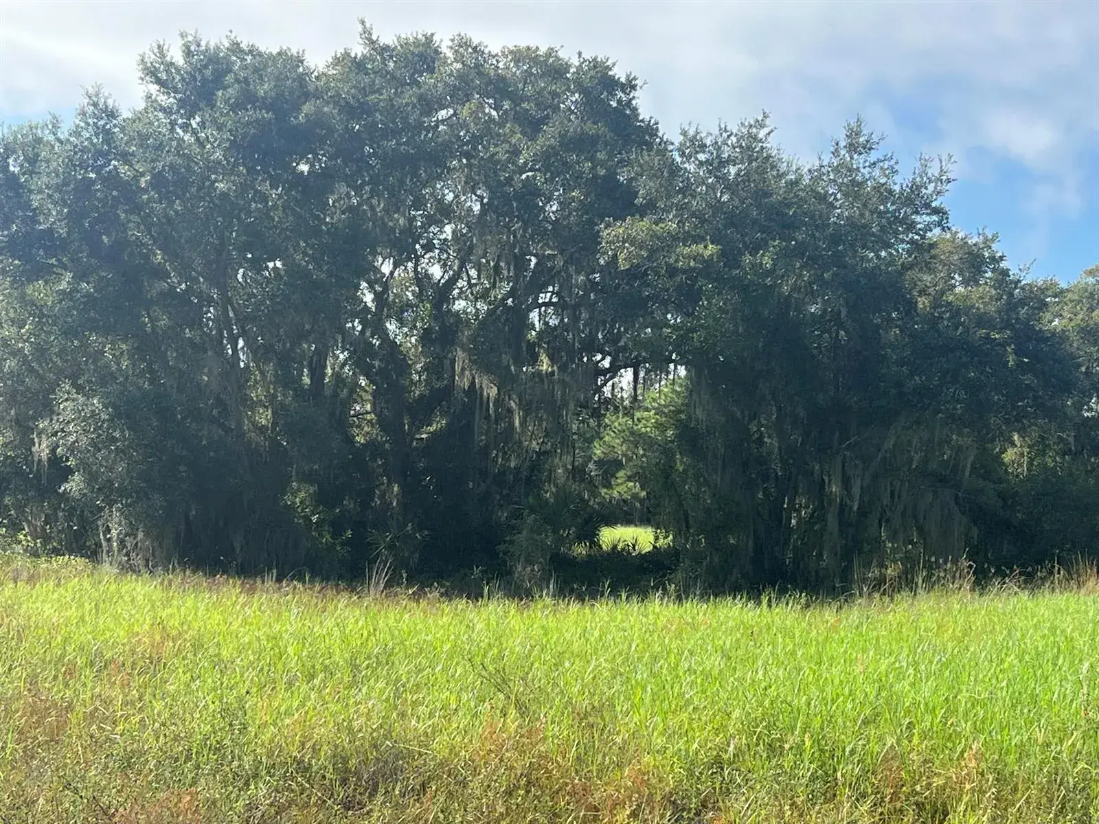 1712 MCARTHUR Avenue, Lehigh Acres FL 33972