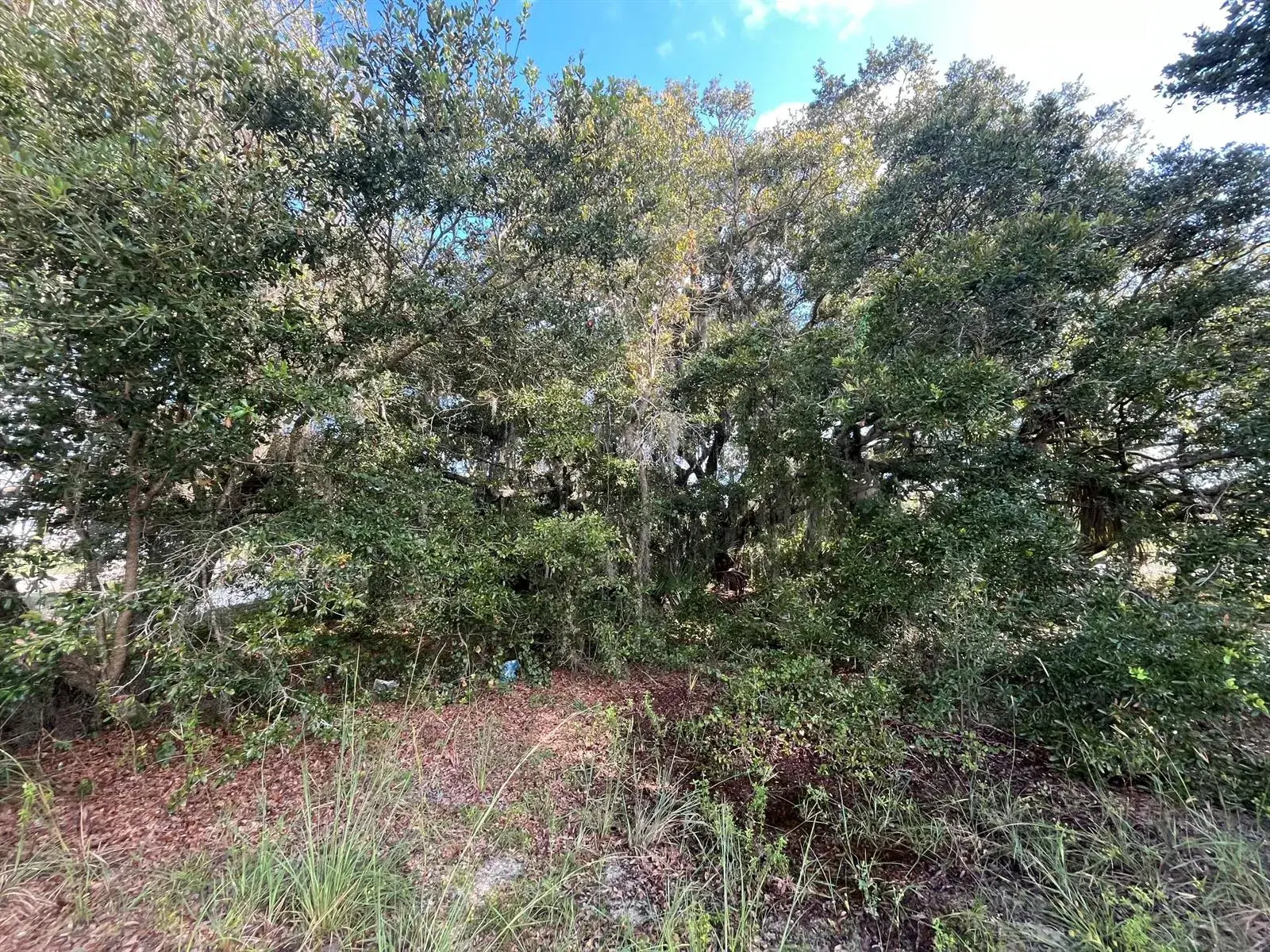 1712 MCARTHUR Avenue, Lehigh Acres FL 33972