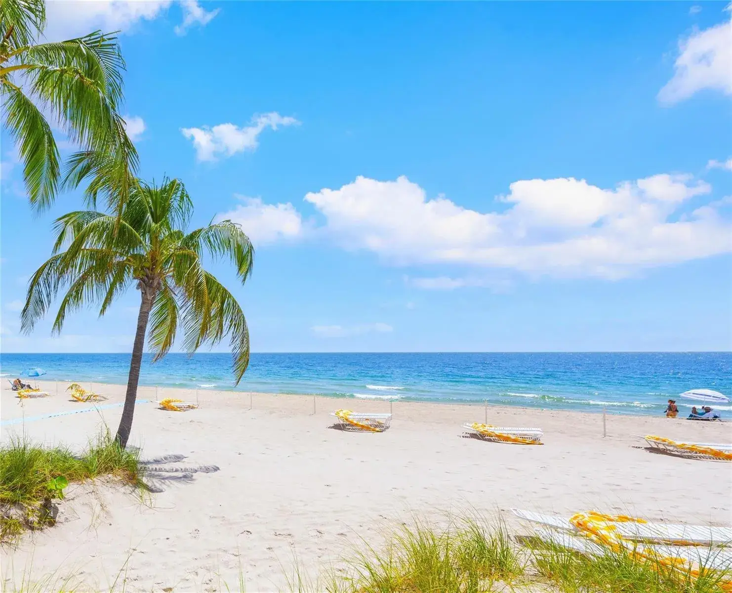 2555 NE 11th Street # 404, Fort Lauderdale FL 33304