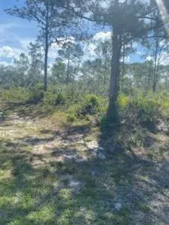 4538 MIGNON Drive, Sebring FL 33872