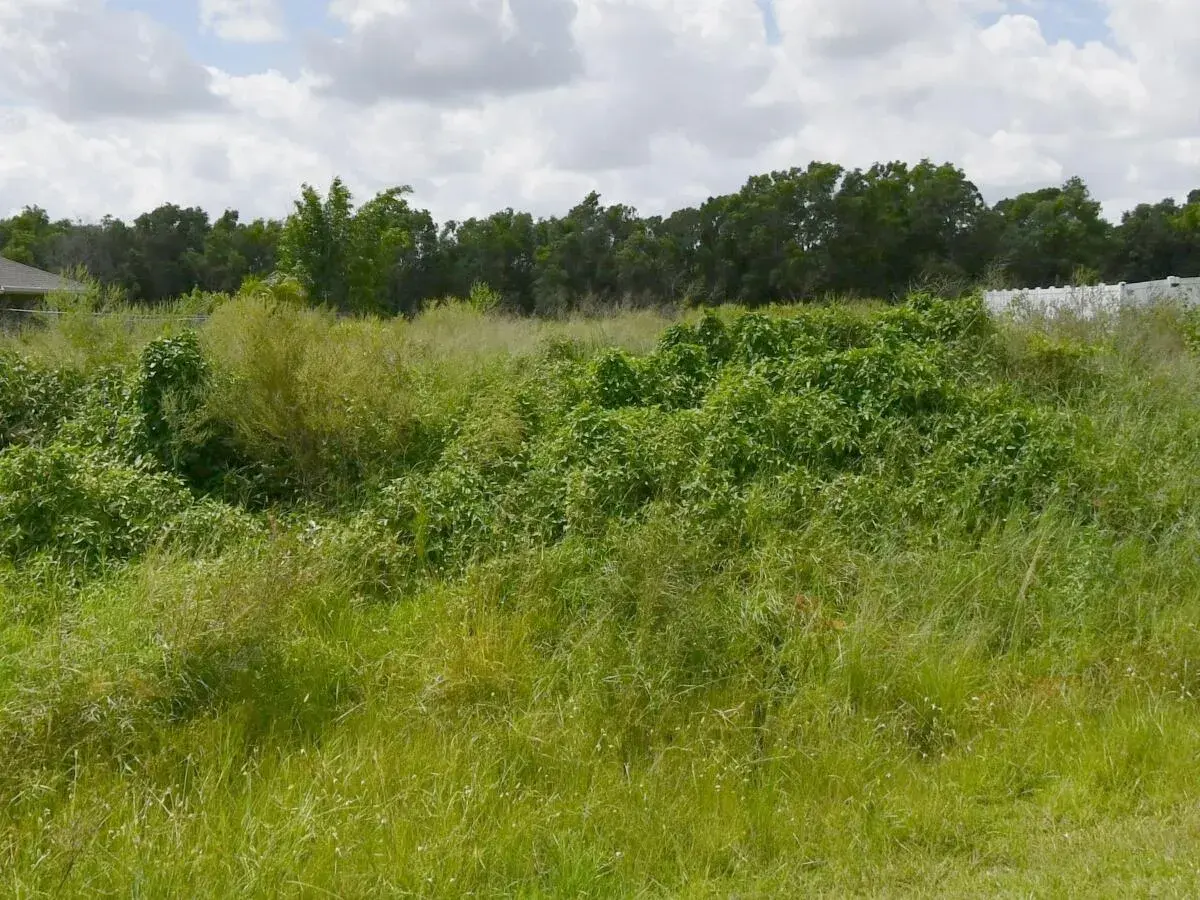 5382 NW West Paden Circle, Port St. Lucie FL 34986