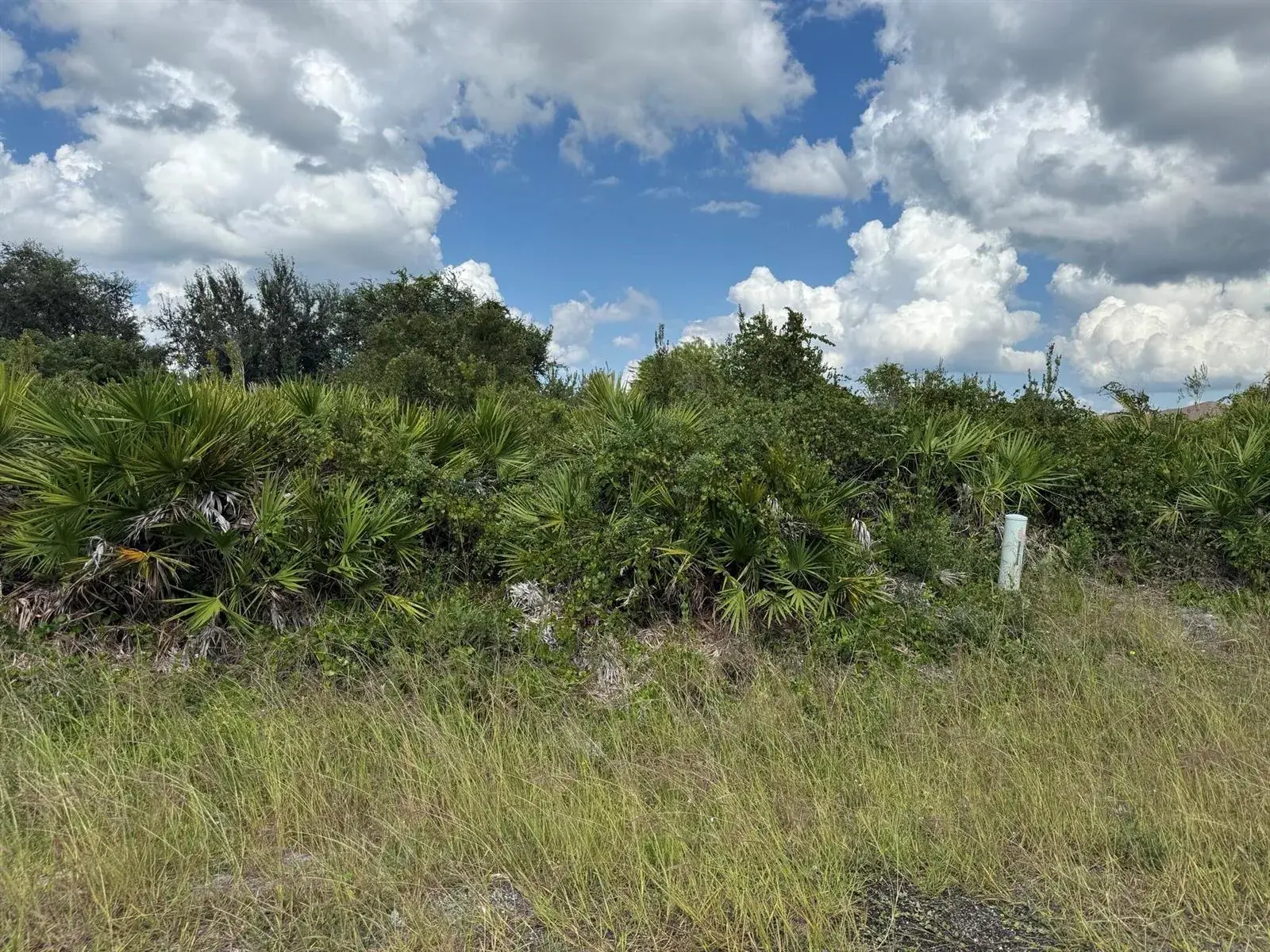 Commercial Land for sale at 2814 63rd Street W, Lehigh Acres FL 33971