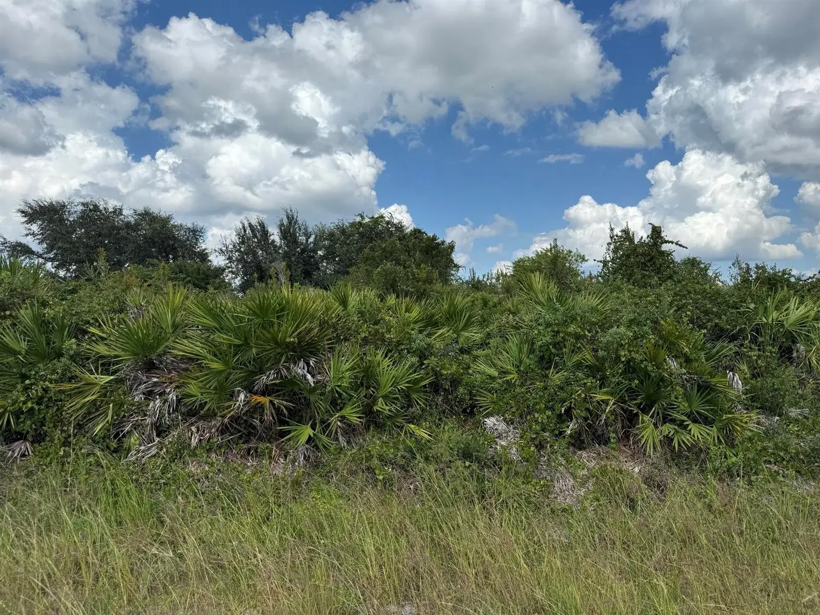 2814 63rd Street W, Lehigh Acres FL 33971