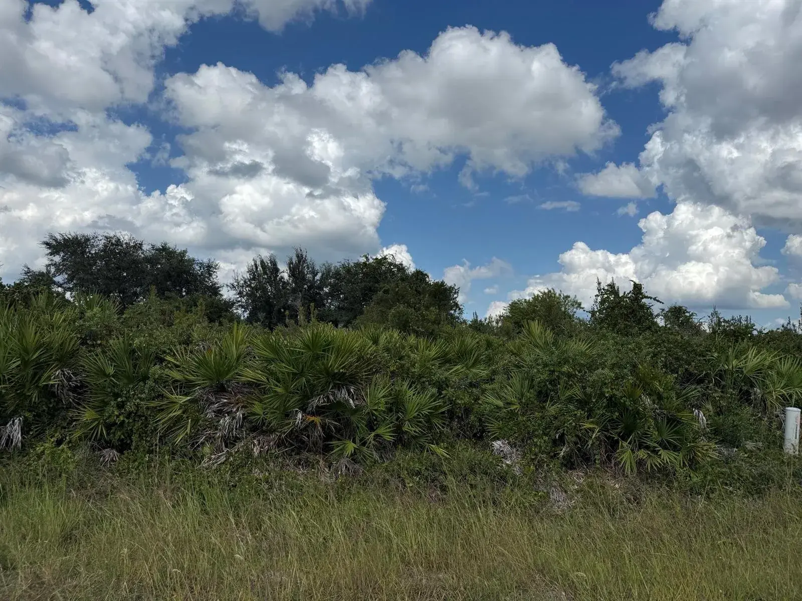 2814 63rd Street W, Lehigh Acres FL 33971