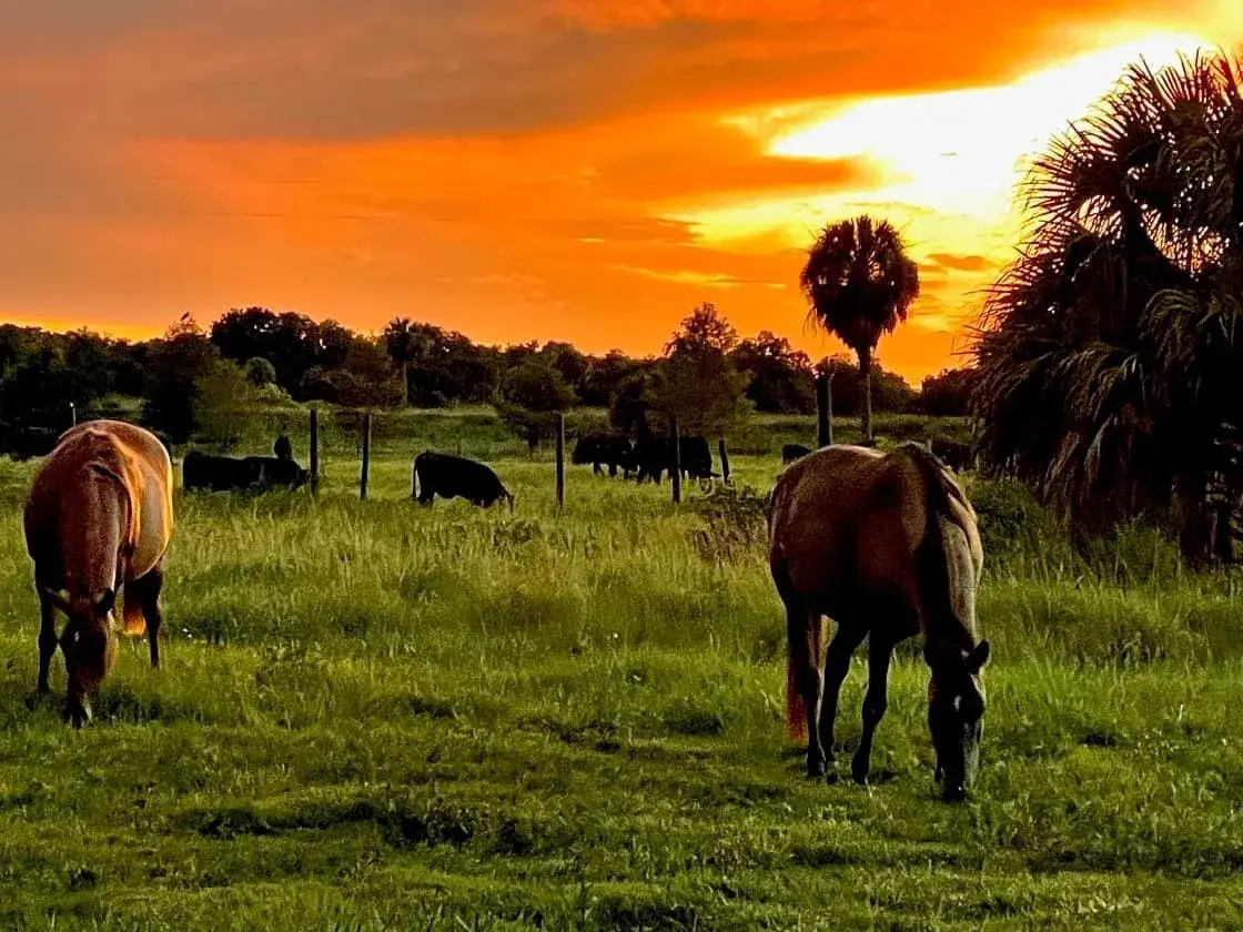 545 N ISORA Street, Clewiston FL 33440