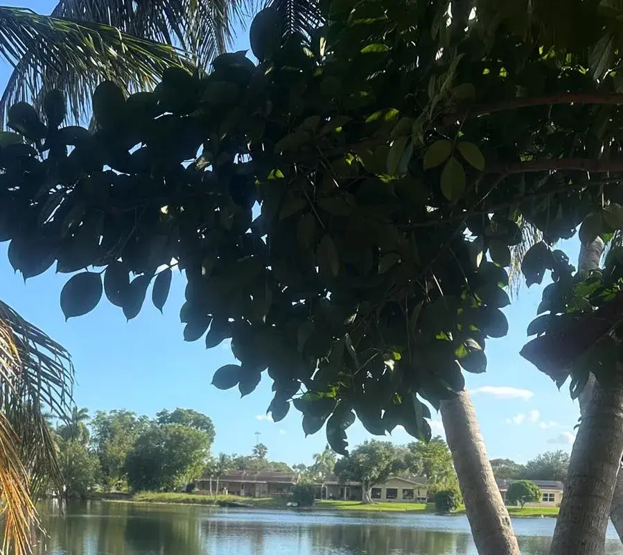 551 NW 99TH Way, Pembroke Pines FL 33024