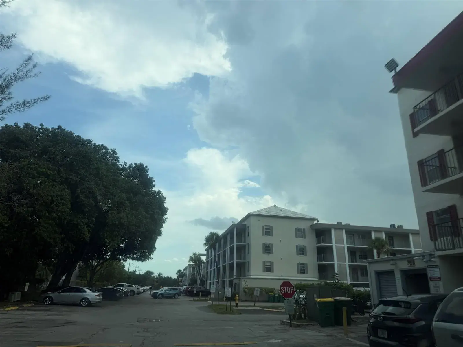 3001 NW 48TH Avenue # 442, Lauderdale Lakes FL 33313