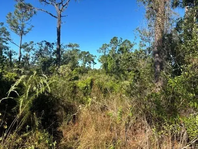 0 FL-60, Lake Wales FL 33853