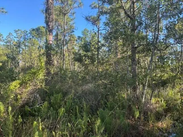 0 FL-60, Lake Wales FL 33853