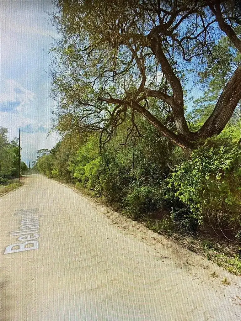 0000 Lone Pine Trail, FL 32666 photo 2