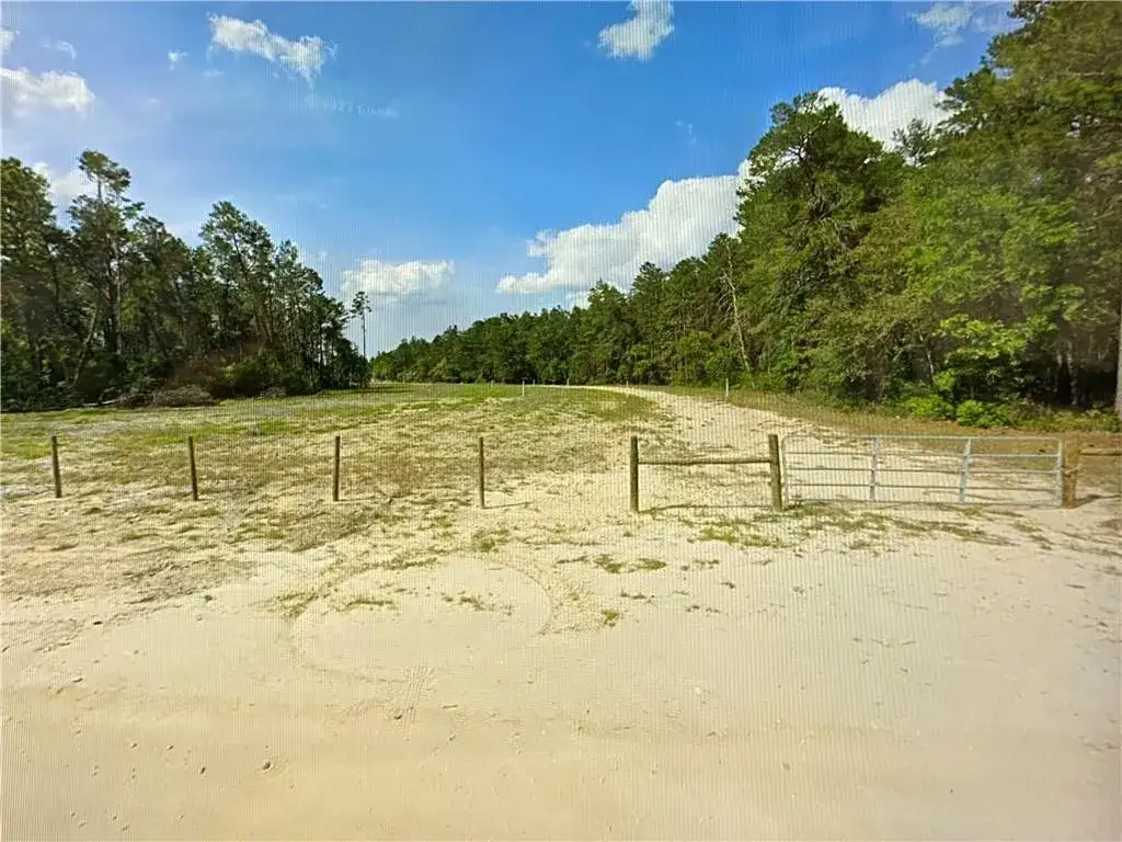0000 Lone Pine Trail, FL 32666 photo 3