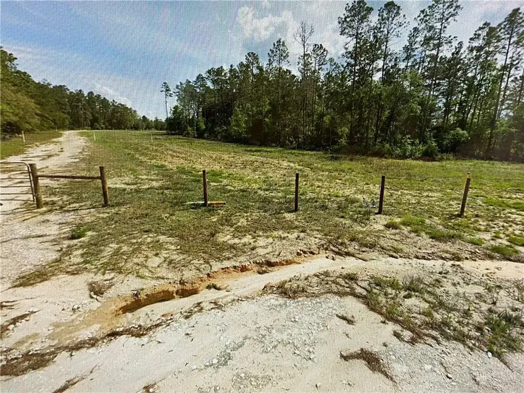 0000 Lone Pine Trail, FL 32666 photo 4