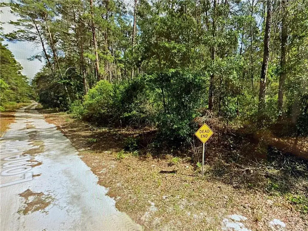 0000 Lone Pine Trail, FL 32666 photo 5
