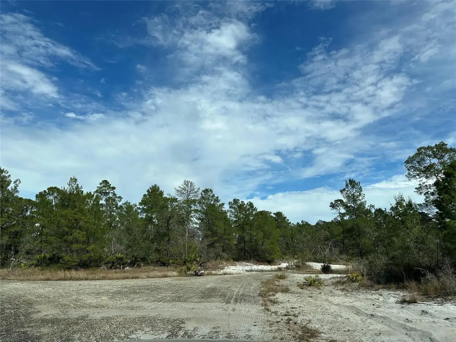 4508 Briarcliff Avenue, Sebring FL 33875 photo 2