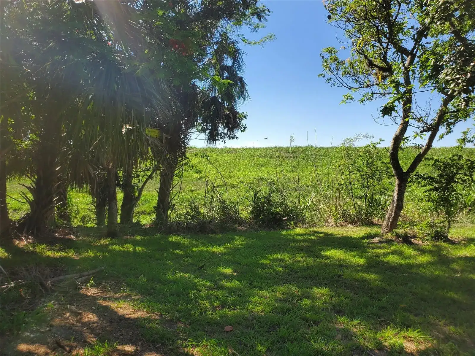 1697 E Main St, Pahokee FL 33476 photo 2