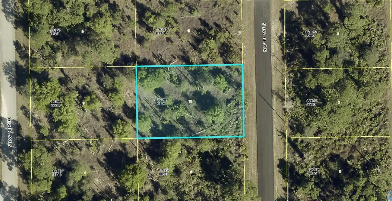 1012 Naples Avenue, Lehigh Acres FL 33974