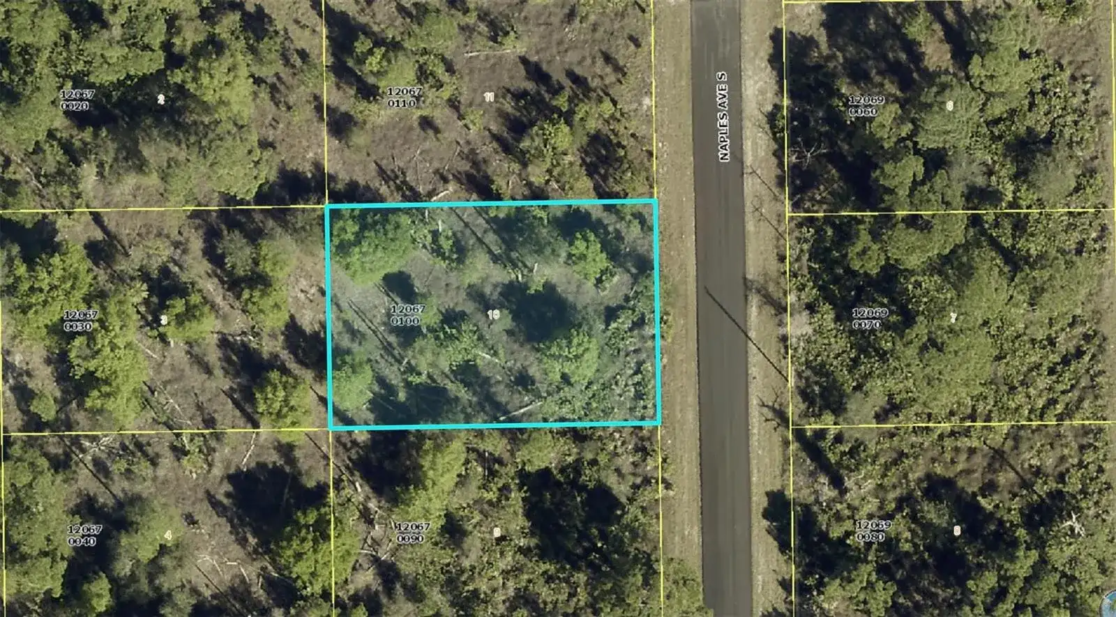 1012 Naples Avenue, Lehigh Acres FL 33974 photo 2