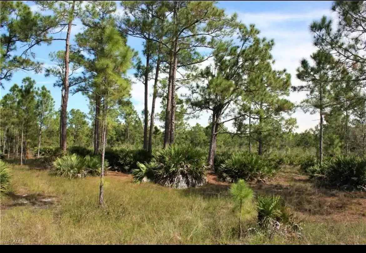 1855 Miller Street, Lehigh Acres FL 33972 photo 2