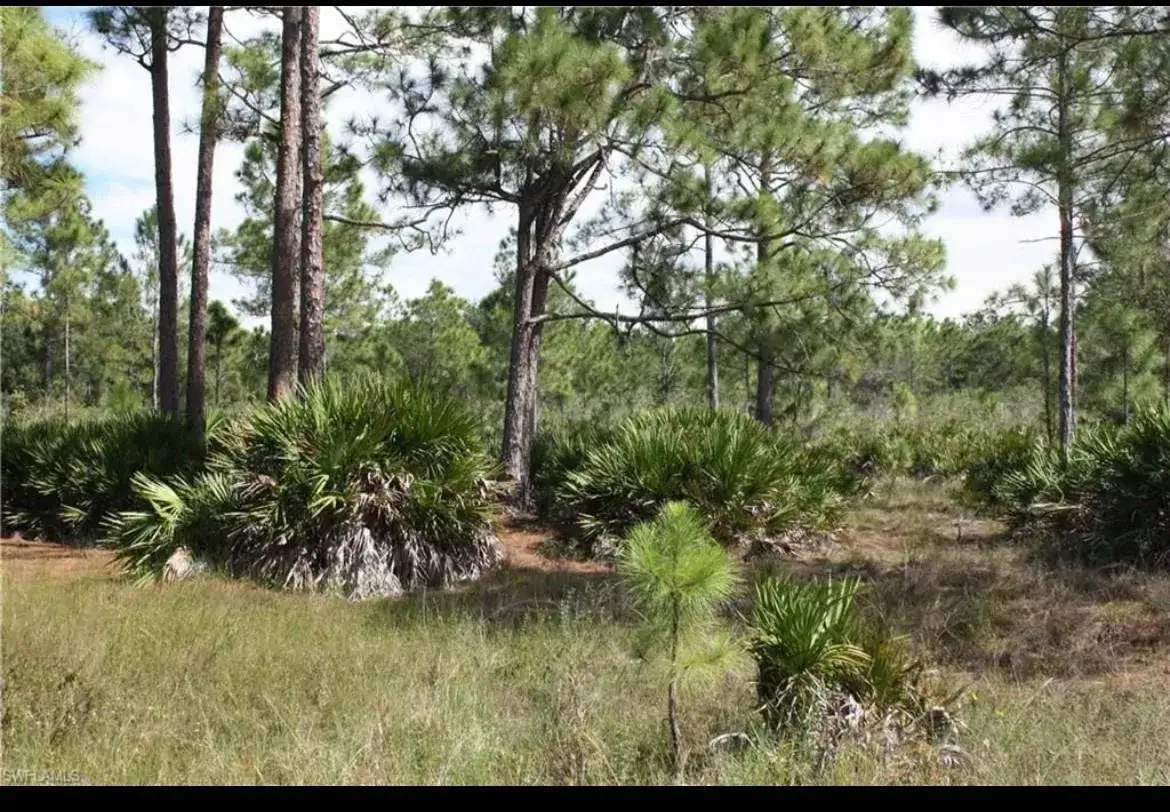 1855 Miller Street, Lehigh Acres FL 33972 photo 3