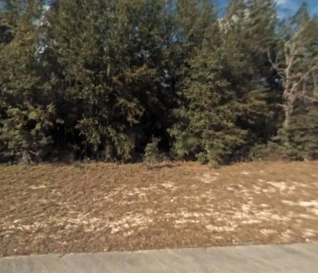 Lot 5 138 Lane, Ocala FL 34473 photo 2