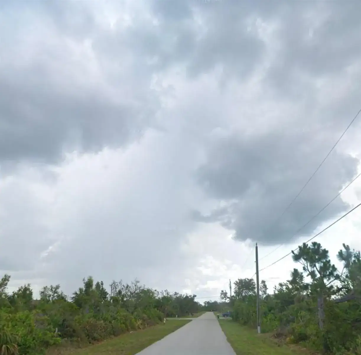 9205 Zorn Street, FL 33981 photo 3