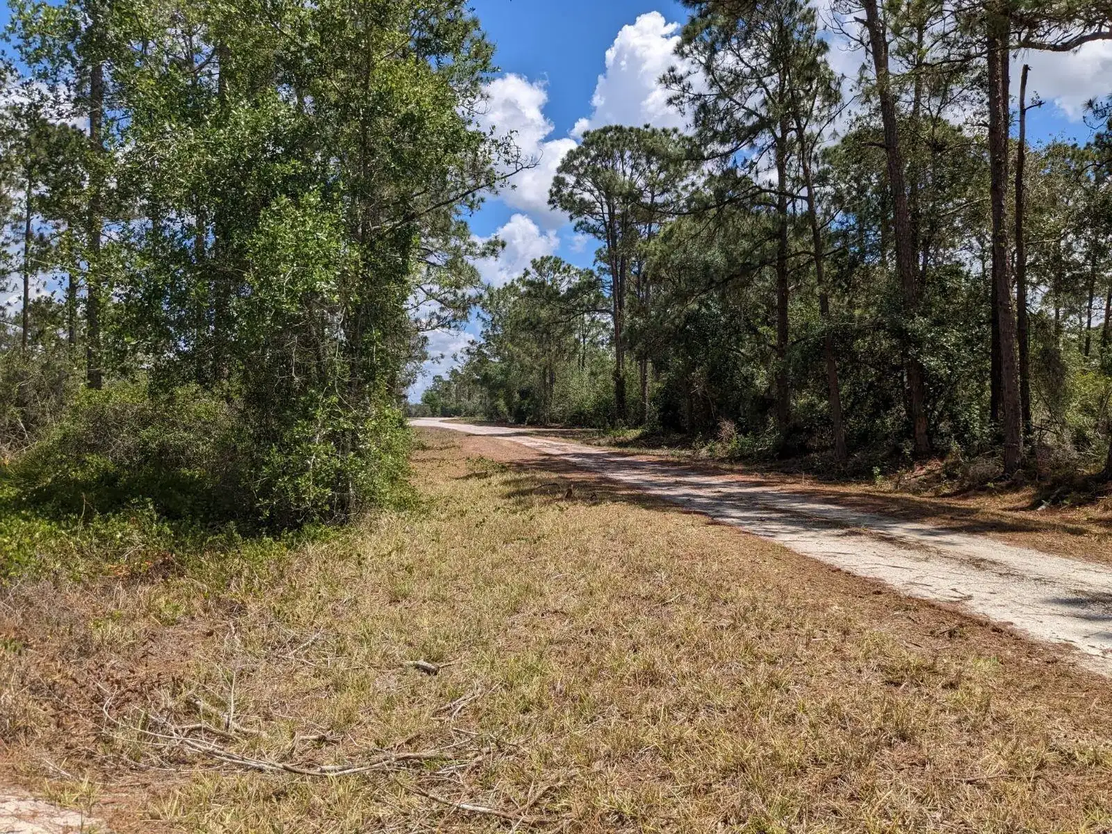 430 Apple Blossom Avenue, Lake Placid FL 33852 photo 2