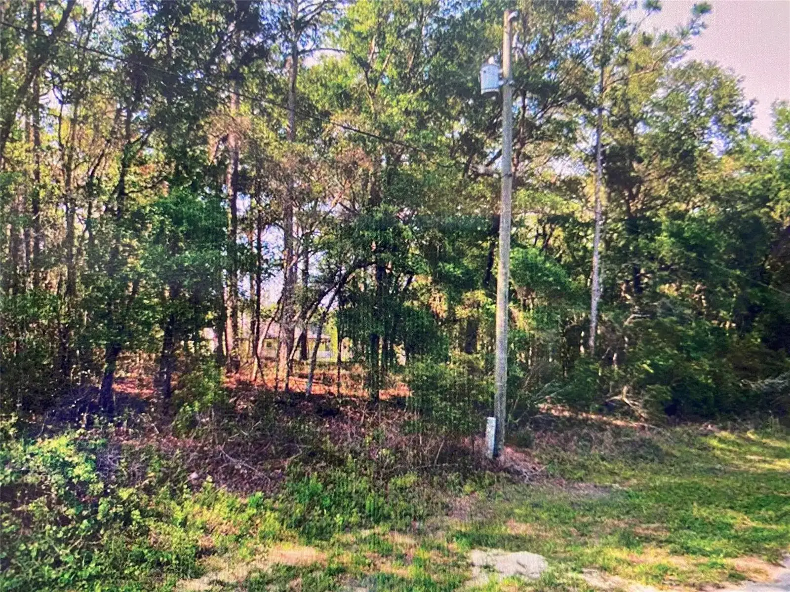 684 W Pitler Place, FL 34434 photo 4