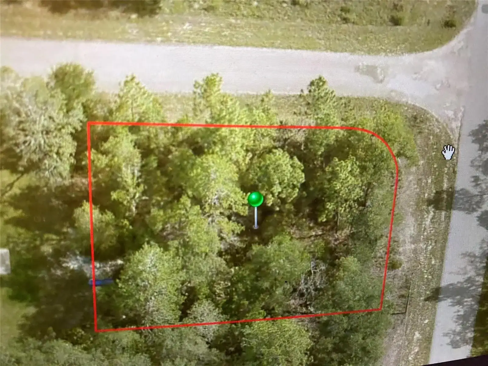 6689 N Bedstrow Boulevard, FL 34434 photo 2