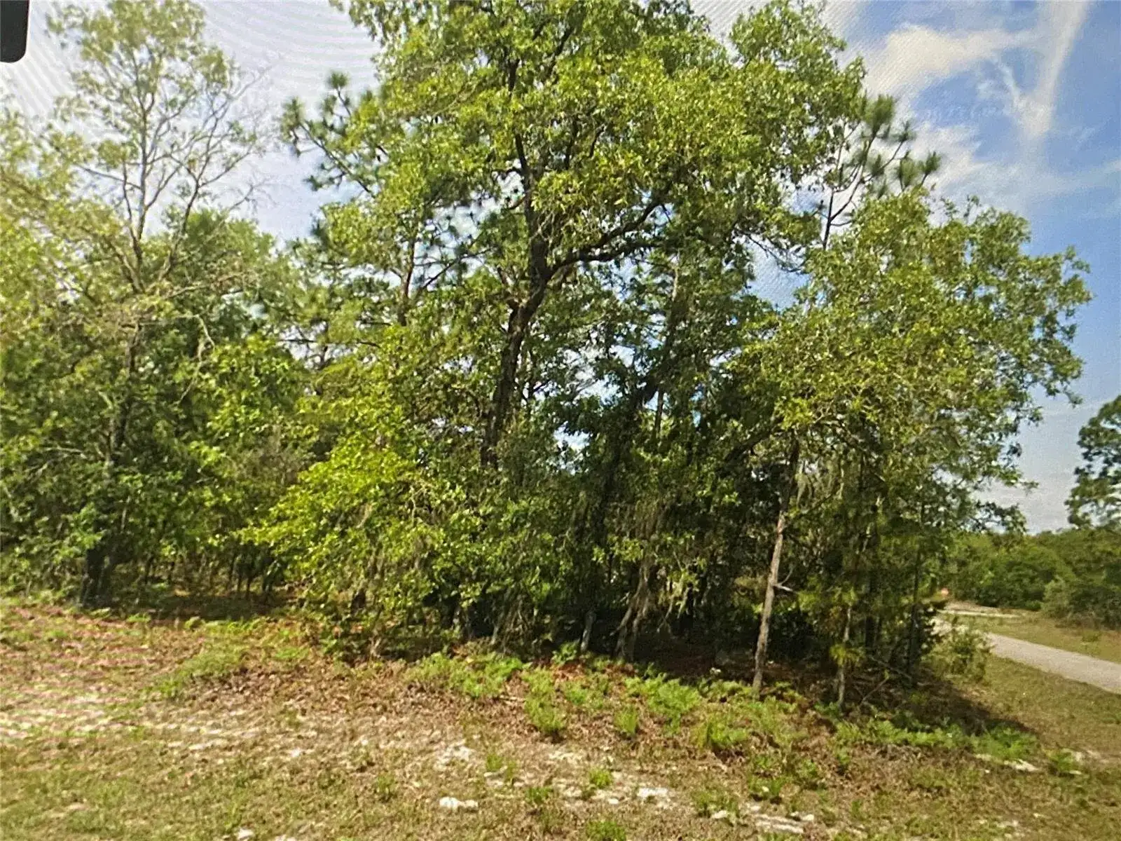 6689 N Bedstrow Boulevard, FL 34434 photo 3